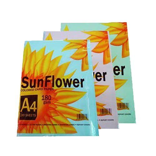 Bìa Giấy Ngoại A4 Dương Sunflower