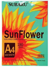 Bìa Giấy Ngoại A4 Lá Sun Flower