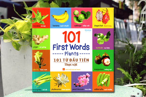 101 từ đầu tiên: Thực vật B60