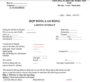 [22957] Hợp Đồng Lao Động Song Ngữ