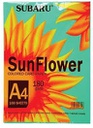 [48495] Bìa Giấy Ngoại A4 Lá Sun Flower