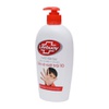 [56113] Gel Rửa Tay Khô Lifeboy 235ml